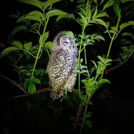 Casita De Aldea Ferienhaus