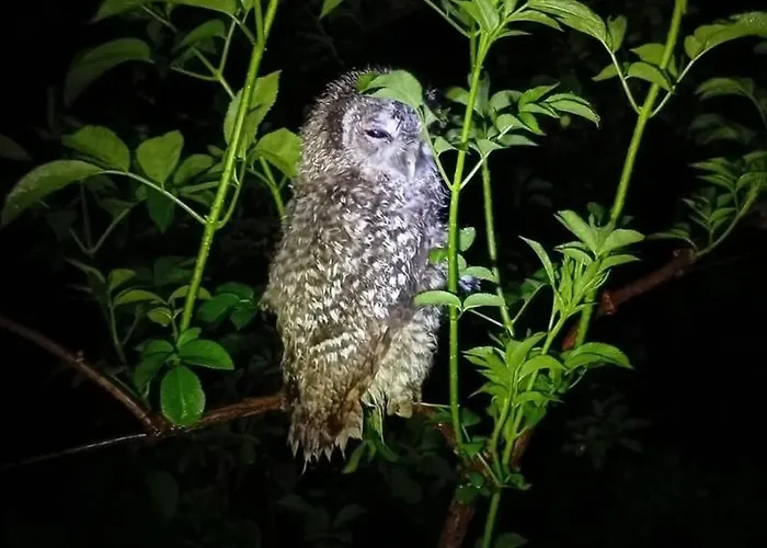 Casita De Aldea Nyaraló